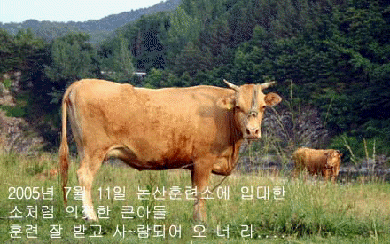 ���밣 ū��